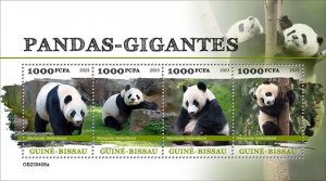 GUINEA BISSAU - 2023 - Pandas - Perf 4v Sheet - Mint Never Hinged