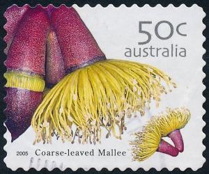 Australia 2005 50c Wildflowers - Coarse-Leaved Mallee Perf 11½ SA SG2535 Used