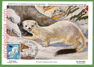 32133 - Switzerland - MAXIMUM CARD - 1966 - ANIMALS-