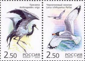 Russia 2002 MNH Stamps Scott 6709 Birds Seagull Joint Issue