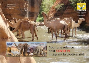 CHAD 2023 SHEET - MONKEYS LION ELEPHANT FROGS HIPPOPOTAMUS MUSHROOMS TURTLES MNH-