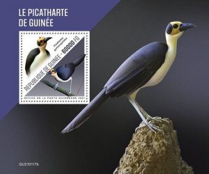 Guinea - 2021 White-necked Rockfowl Bird - Stamp Souvenir Sheet - GU210117b
