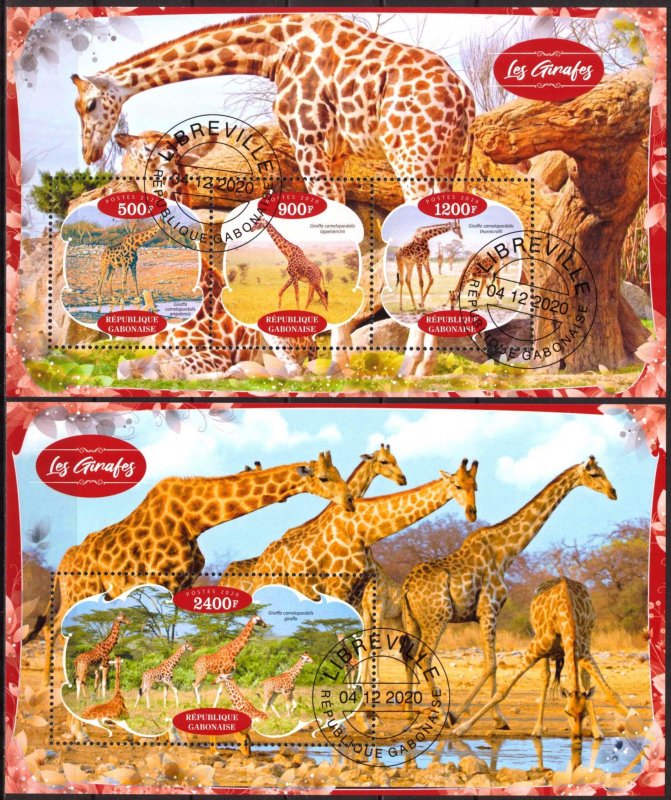 Gabon 2020 Giraffes Sheet + S/S Used / CTO