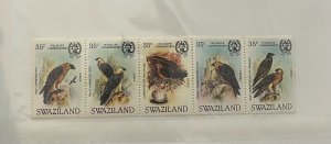 Souvenir Sheet Swaziland Scott #427 nh