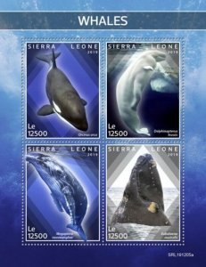 Sierra Leone - 2019 Whales on Stamps - 4 Stamp Sheet - SRL191205a