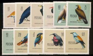 POLAND 935-946 MINT NH BIRDS