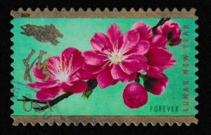 SC# 5340 - New 2019 - (50c) - Lunar New Yesar Yr of the Boar, Used Off Paper