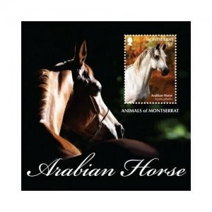 Montserrat - 2011 Arabian Horse - Souvenir Sheet - MNH