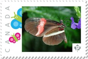 RED POSTMAN BUTTERFLY =Side= Picture Postage stamp MNH Canada 2017 [p17-04bt6-4]