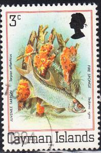 Cayman Islands #452a Used