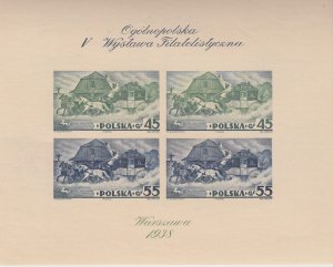 POLAND 1938 Fifth Philatelic Exhib. Miniature sheet both - 32277