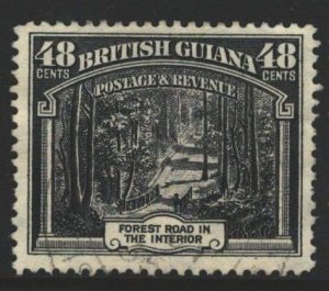 British Guiana Sc#217 Used