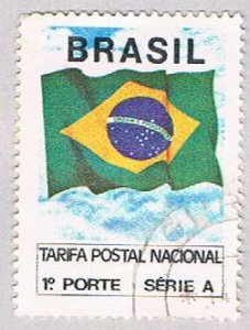 Brazil Flag 10 (AP116923)
