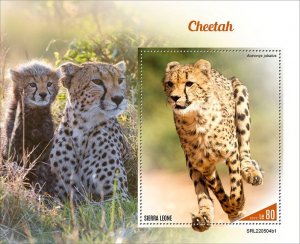 SIERRA LEONE - 2022 - Cheetah - Perf Souv Sheet #1 - Mint Never Hinged