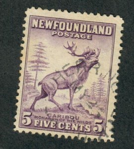 Newfoundland #257 used single - perf 12.5