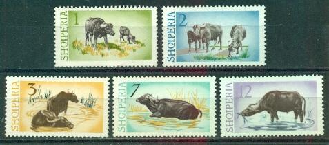Albania #796-800  Mint  VF LH  CV$25.60   Water Buffalo