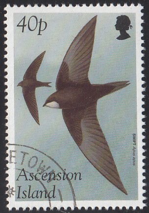 Ascension 1998 used Sc #705 40p Swift