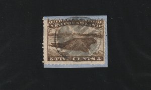 EDSROOM-13372 Newfoundland 25 Used on Piece SON 1865 Brown Harp Seal CV$450