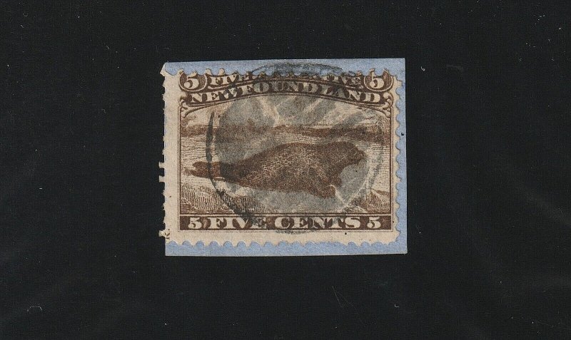 EDSROOM-13372 Newfoundland 25 Used on Piece SON 1865 Brown Harp Seal CV$450