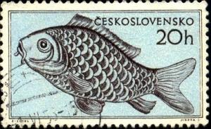 Fish, Carp, Czechoslovakia stamp SC#711 used