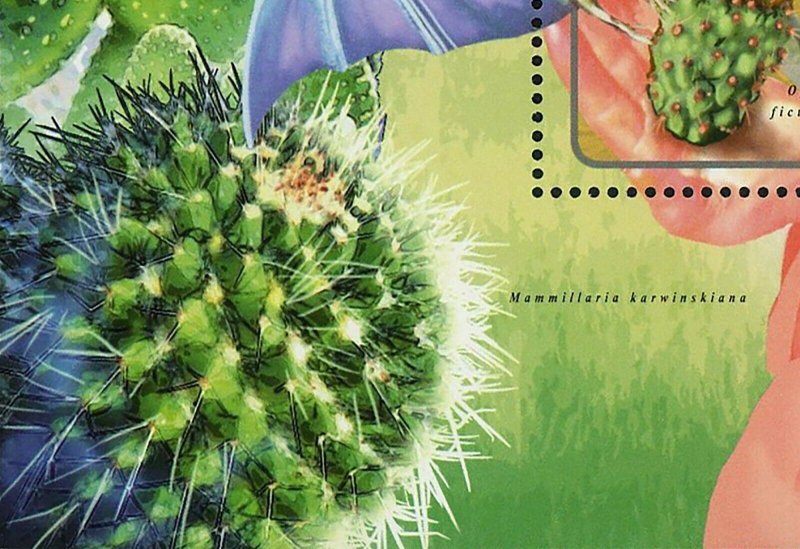 Cactuses Stamp Cactus Opuntia Microdasys Mammillaria Karwinskiana S/S MNH #2967