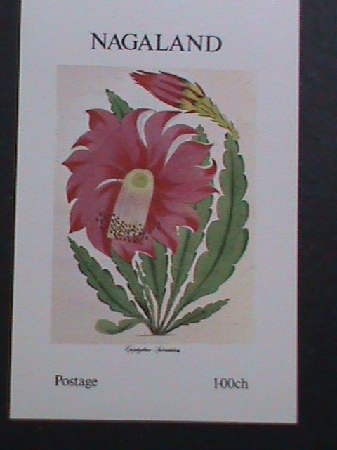 ​NAGALAND-1973 PROMOTION-EPIPHYLLUM IPLENDIDUM FLOWER -IMPERF MNH S/S-EST.$6