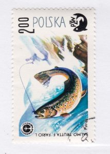 Poland       2331            used