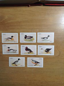 Staffa Scotland ( Birds ) # 1  MNH