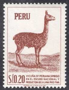 PERU SCOTT 461