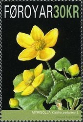Faroe Islands 2008 #501 MNH. Flower