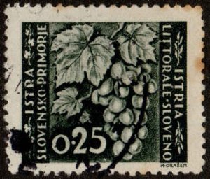 Jugoslavia - Istria  #23  Used   CV $1.00