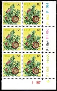 South Africa - 1977 Proteas 6c Pane B Plate Block MNH** SG 419