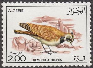 Algeria #597 Temminck's Horned Lark MNH