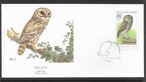 Sc 2995 Poland Little Owl L63