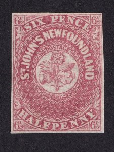 Newfoundland, Scott 21, Mint NG, VF