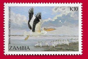 ZAMBIA SCOTT#396 1987 10k ROSY PELICAN - MH