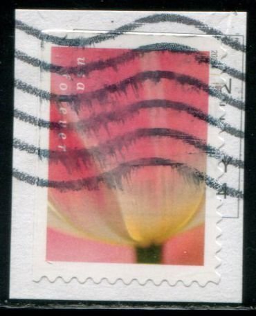 5778 US (63c) Tulip Blossoms - pink w/yellowish SA bklt, used on paper