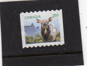 Canada Native Fauna used