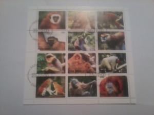 TIMOR SHEET USED MONKEYS PRIMATES WILDLIFE