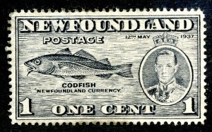 Newfoundland, Scott #233, Used