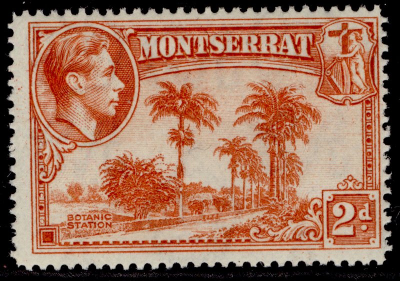 MONTSERRAT GVI SG104a, 2d orange, M MINT.