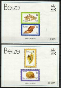 Belize Stamp 488-489  - Sea shells
