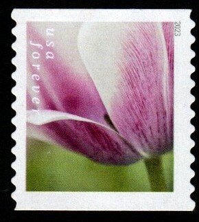 SC# 5776 - (68c) - Tulip Blossoms - 10 of 10 - Used COIL Single - Off Paper