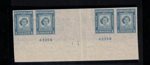 Newfoundland #269a Extra Fine Never hinged Imperf Gutter Strip Of Four