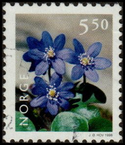 Norway 1185 - Used - 5.50k Hepatica Flower (1998) (cv $0.55)