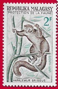 MADAGASCAR SCOTT#321 1961 2f LEMUR - MNH