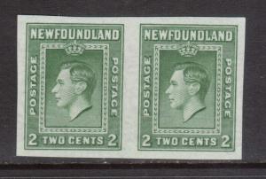 Newfoundland #245a XF/NH Imperf Pair