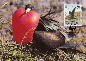 Ascension 1990 Maxicard Sc #485 11p Frigate Birds Male in flight WWF