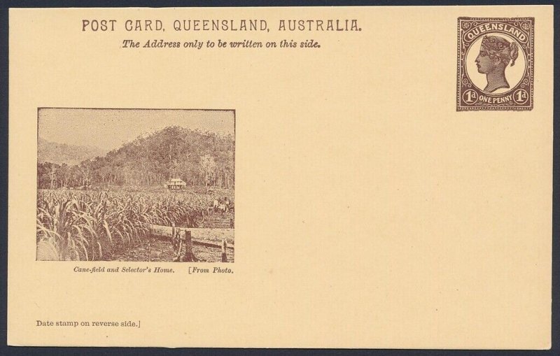 QUEENSLAND Postcard 1898 QV 1d brown view Cane Field & Selector's Home.