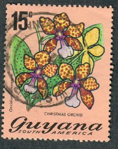 Guyana #139 used single